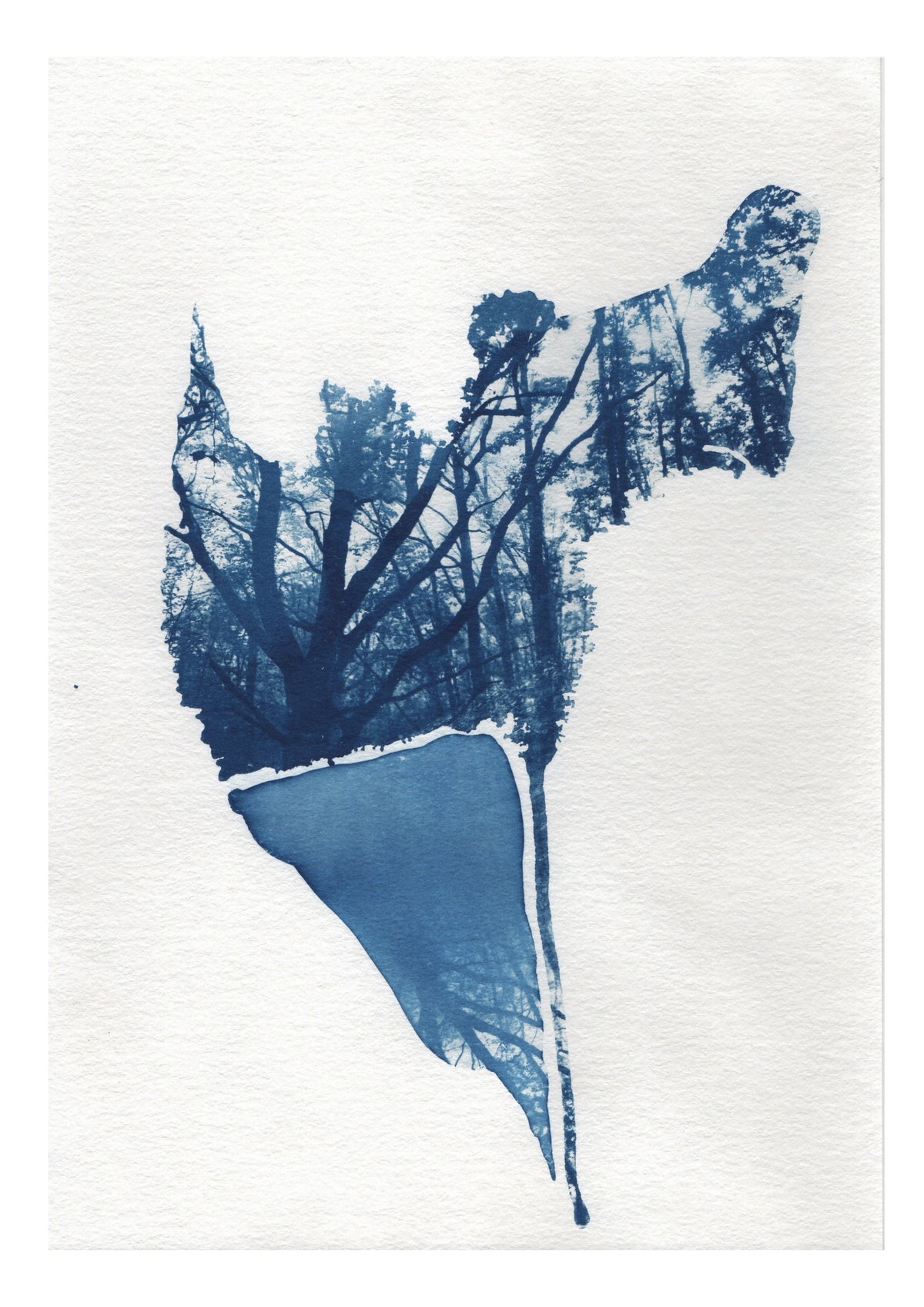 Dancing Tree