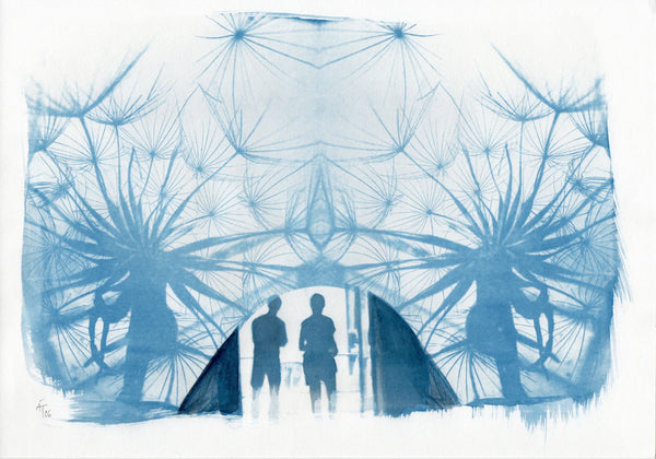 Shelter & Sanctuary