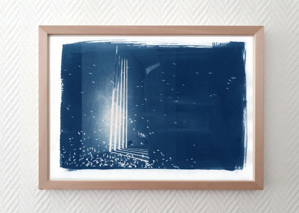 Dreamscape II