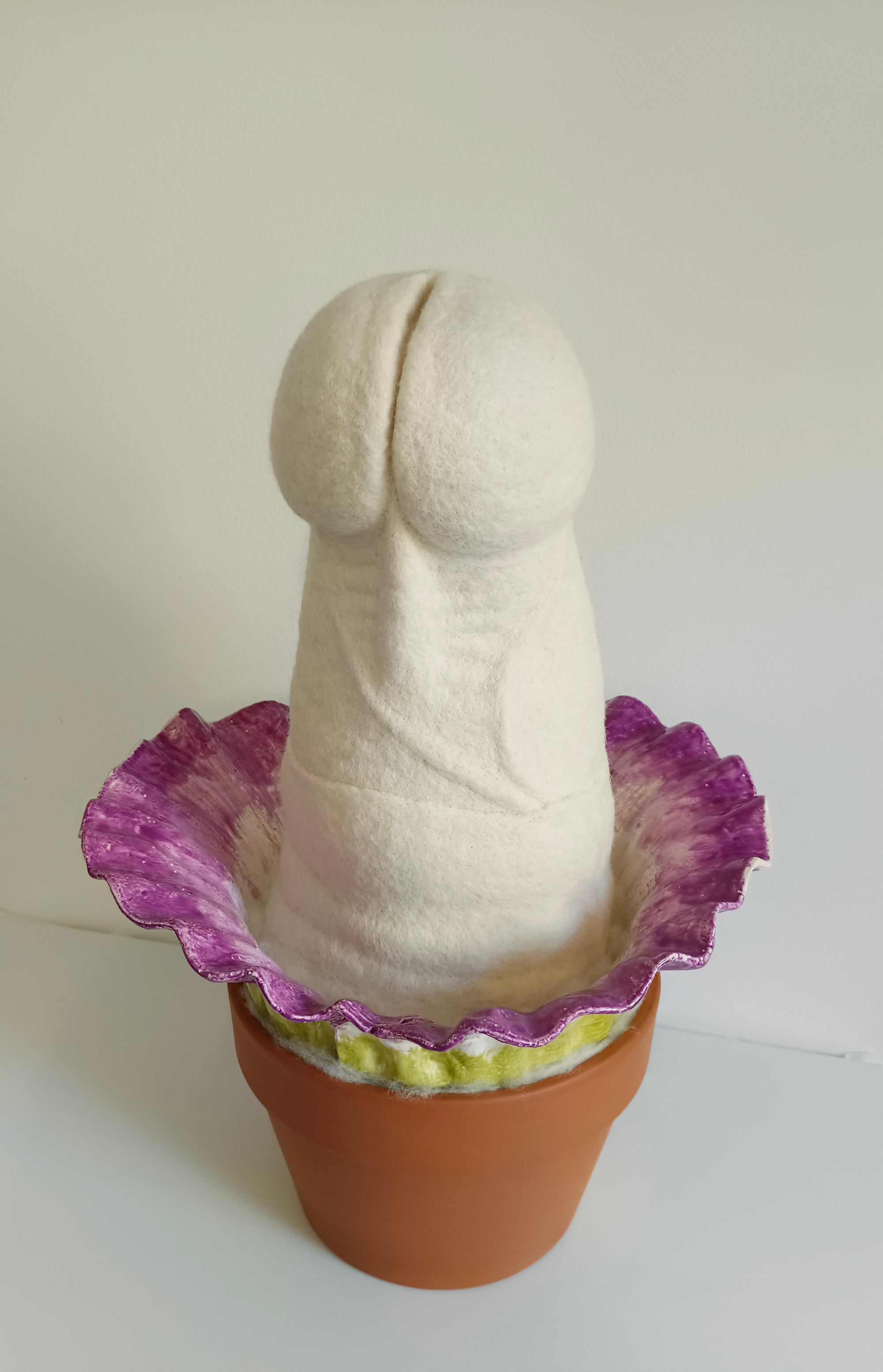 Amorphophallus titanum