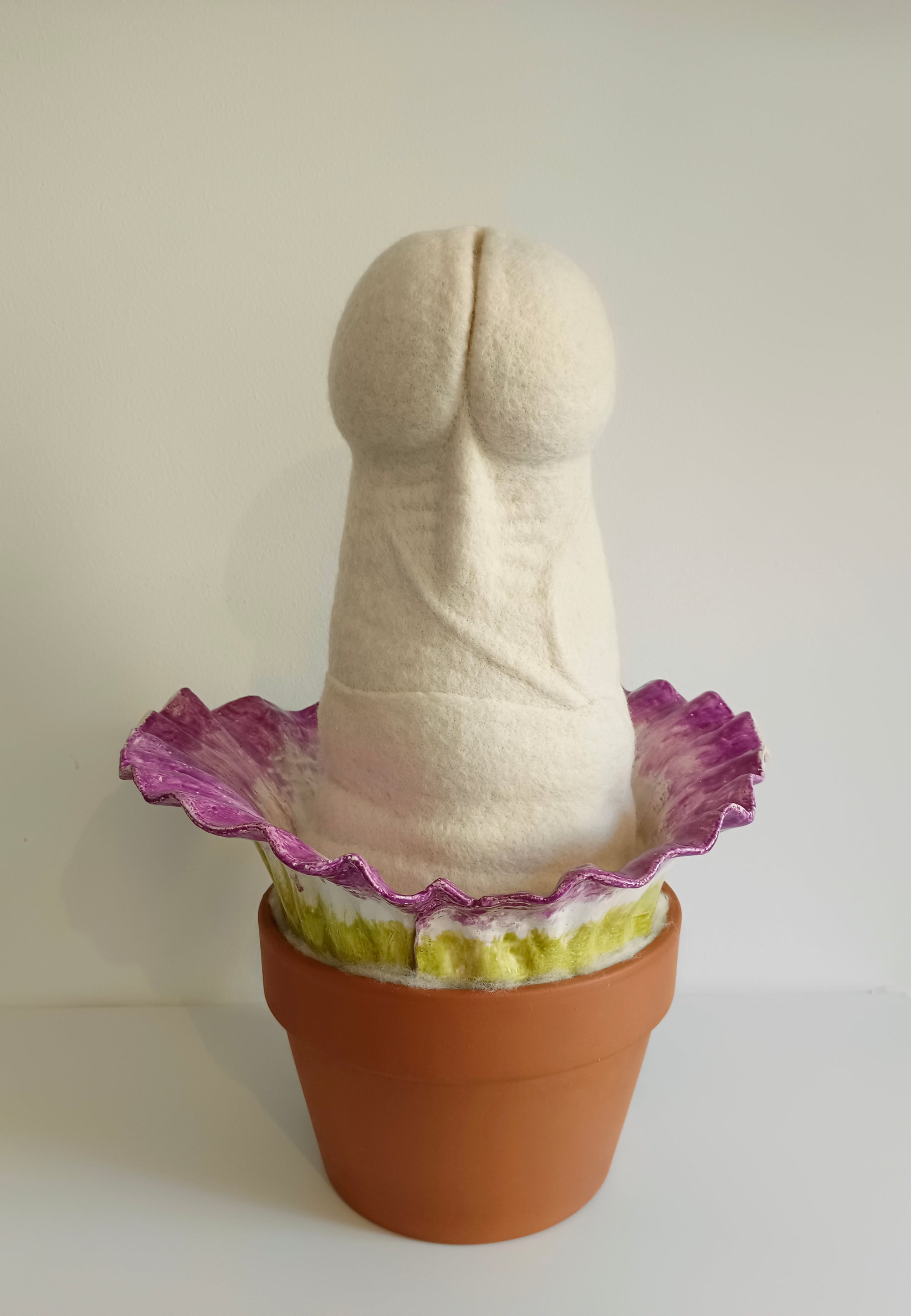 Amorphophallus titanum