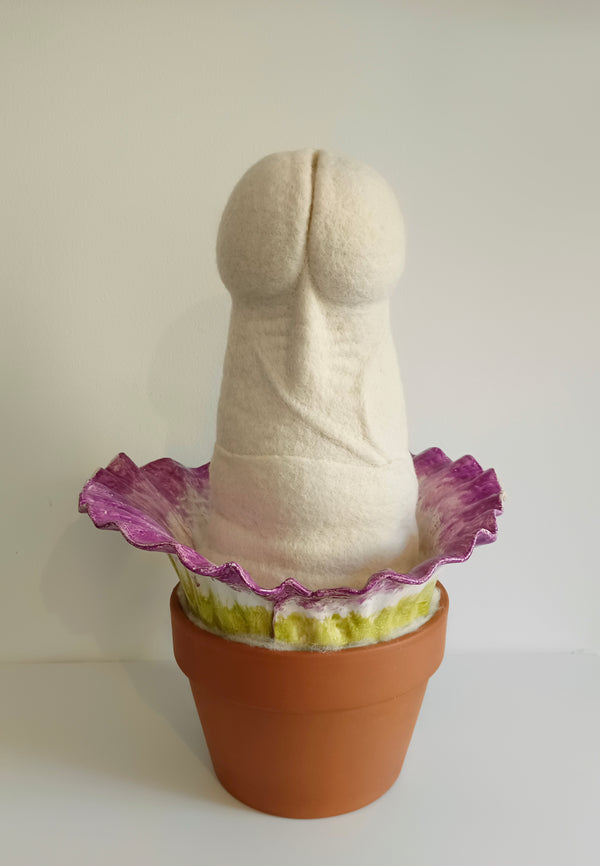 Amorphophallus titanum