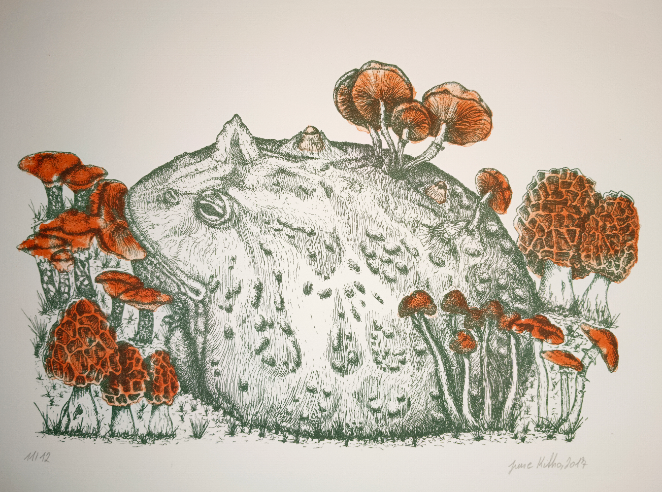 Hornfrosch mit Pilzen