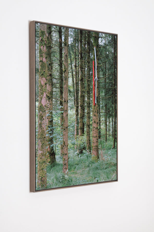 Zwischen Wind und Zeit II