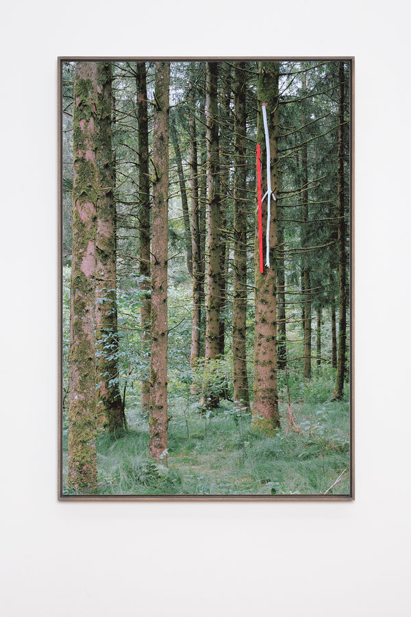 Zwischen Wind und Zeit II