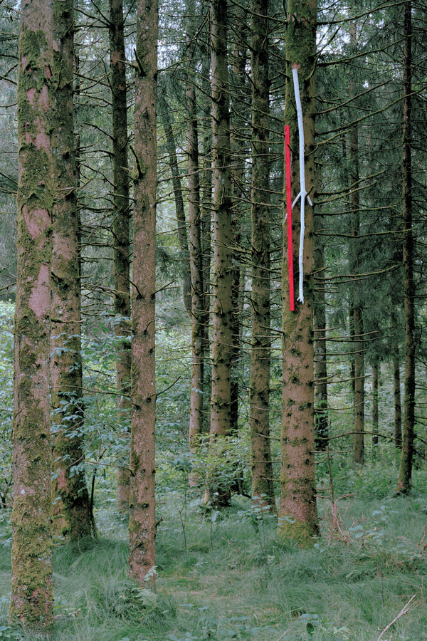 Zwischen Wind und Zeit II