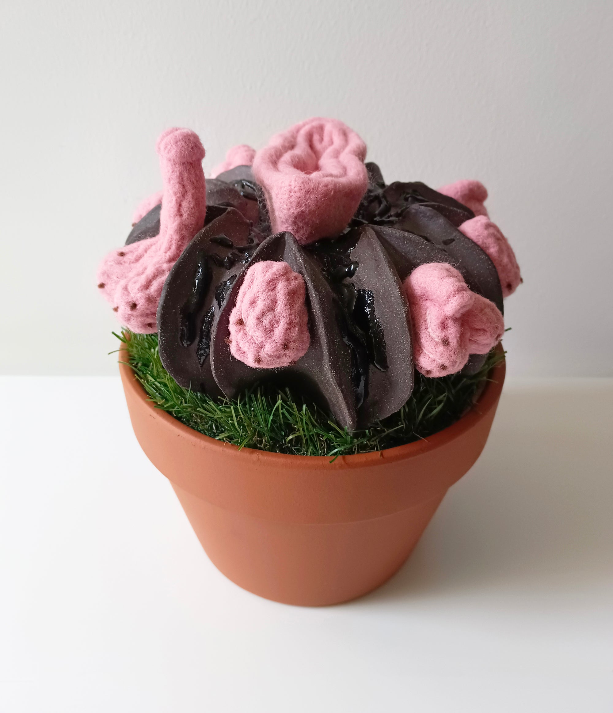 got lost in translation