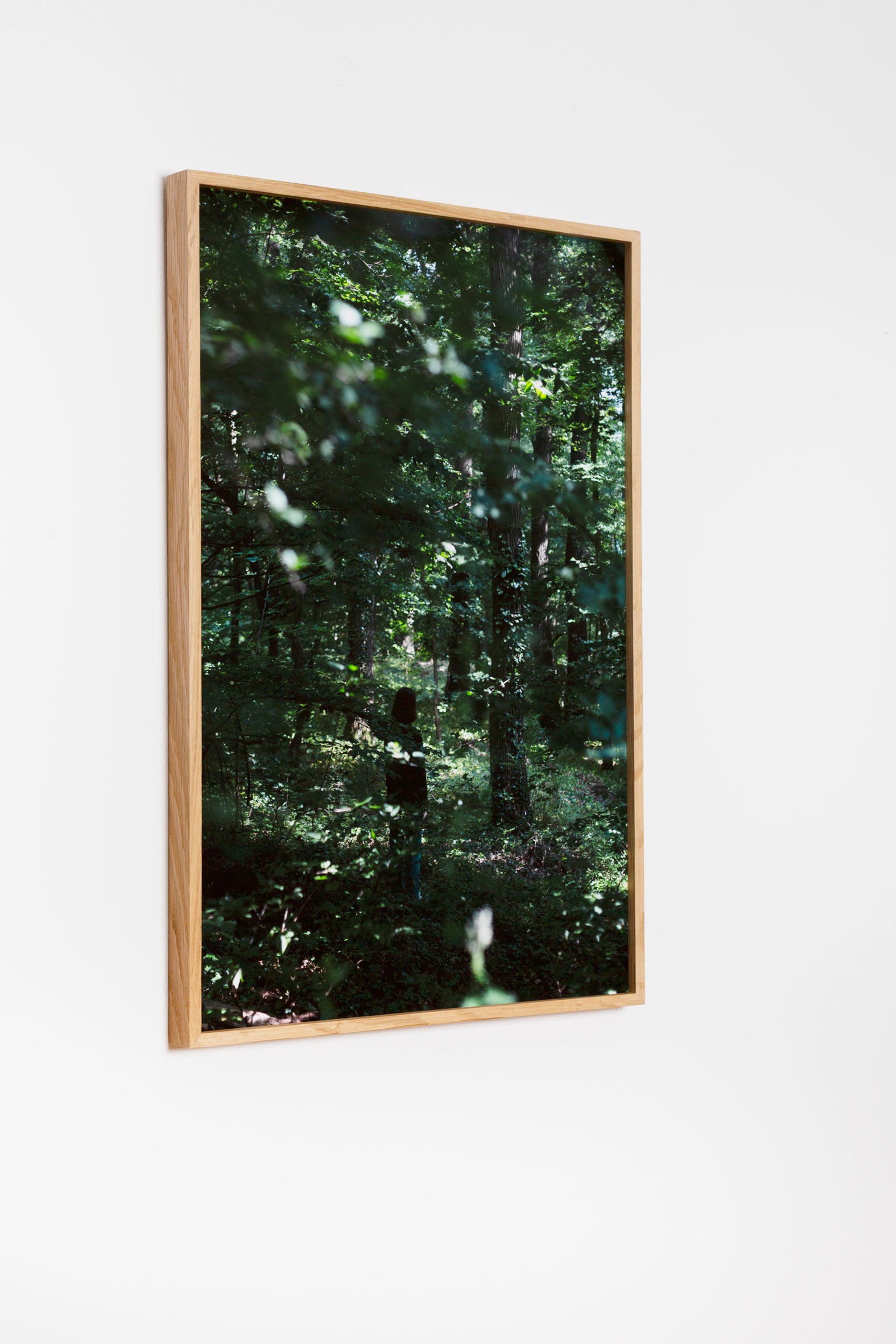 Ausweitung der Lebenszone