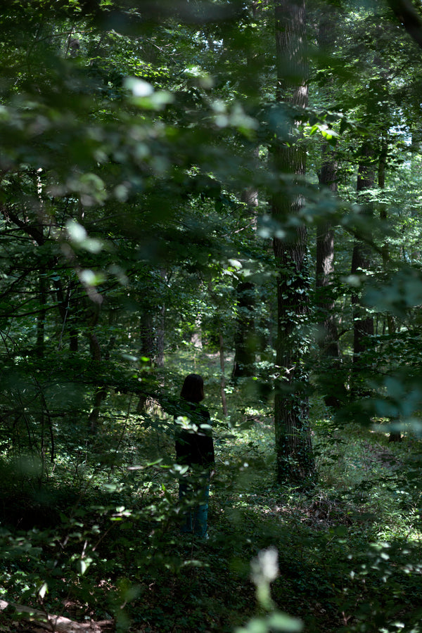 Ausweitung der Lebenszone